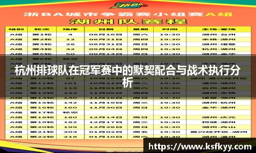 杭州排球队在冠军赛中的默契配合与战术执行分析